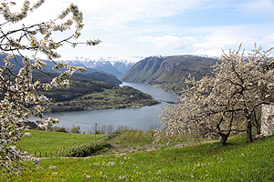 hardangerfjorden.jpg