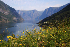 Sognefjorden.jpg